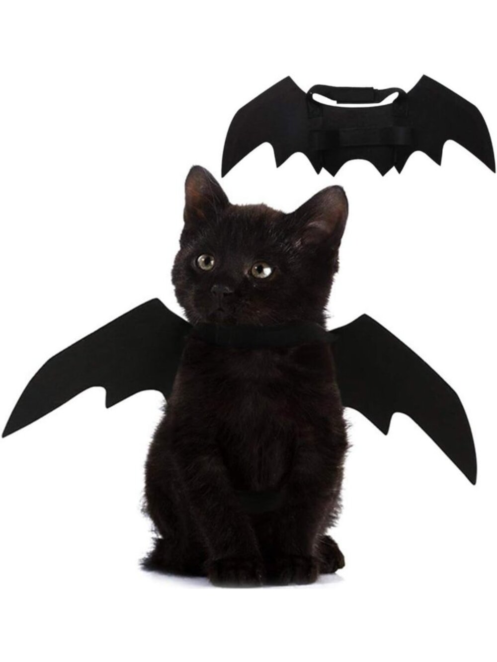 Halloween Bat Wings for Cats & Dogs | Cute Pet Costume Accessories & Collars